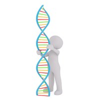 dna-g553f2efcf_640.jpg